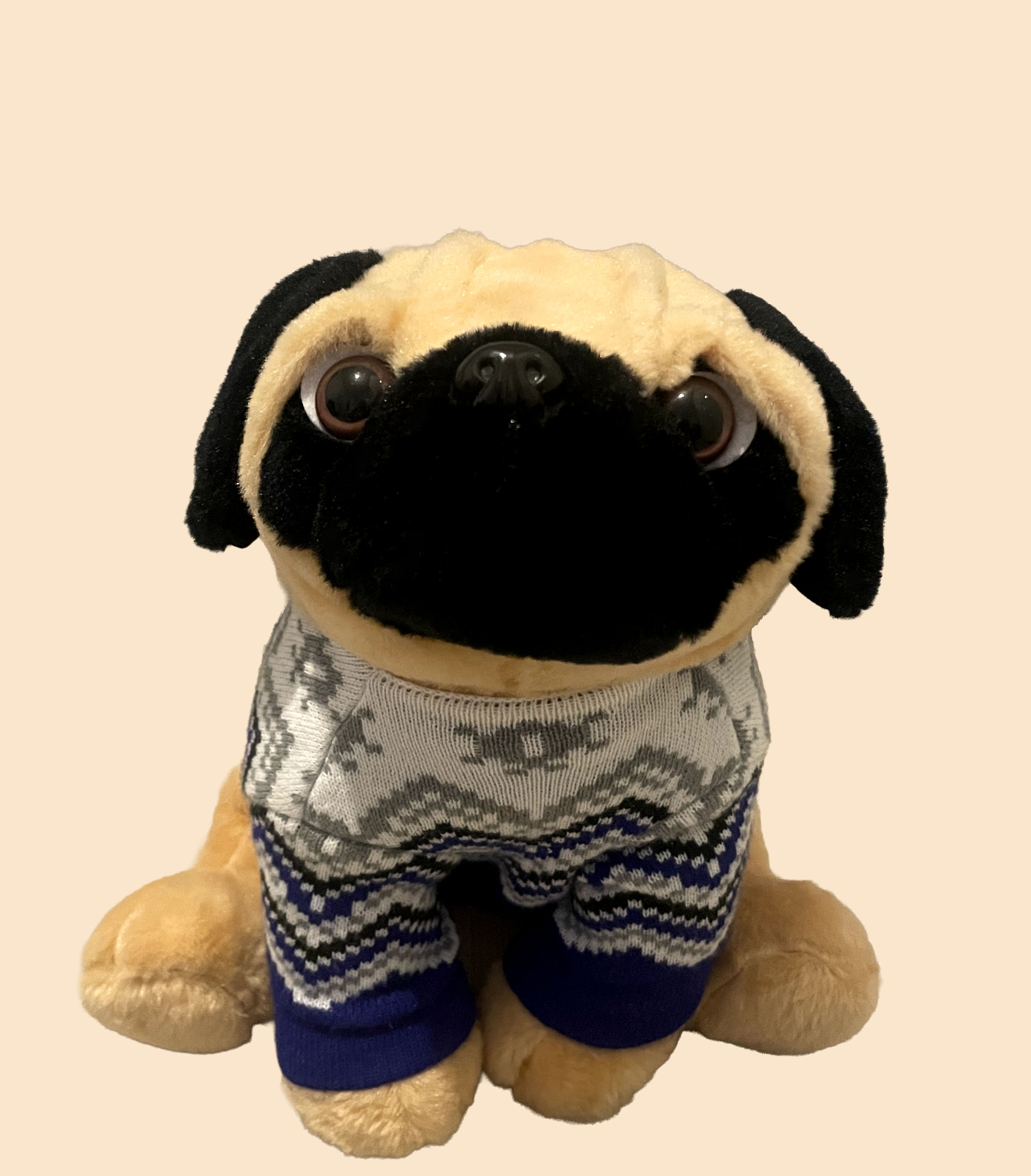 Bernie, the Ceeb Moz studio mascot and morale officer.